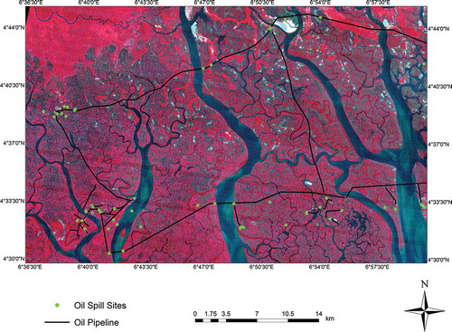 Figure 2. Landsat data in false colour composite (bands 4, 3, and 2) showing oil spill points and pipelines in the study area.