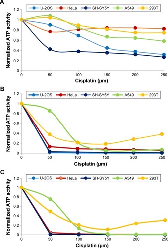 Figure 4 The effect of increasing cisplatin concentrations on U-2OS, HeLa, SH-SY5Y, A549, and 293T spheroidal ATP activity after (A) 1 day, (B) 4 days, and (C) 7 days of incubation.