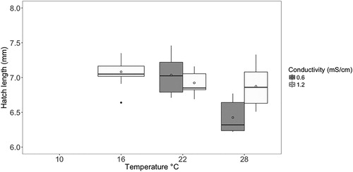 Figure 7. Hatch length for each conductivity and temperature. Where the box plot shows the interquartile range (IQR, 25% and 75%), and the line is the median value for length. Whiskers represent the next quartile (1.5 × IQR), and outliers are represented by the black dots. The open circles represent the mean. Note: no fish hatched at 10 °C in either conductivity, or in the 16 °C–0.6 mS/cm treatment.
