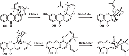 Scheme 1.  Proposed biosynthetic pathway via a tandem Claisen rearrangement/intramolecular Diels-Alder reaction.