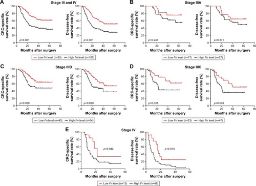 Figure 2 Prognostic significance of Fn in stage III/IV CRC patients.