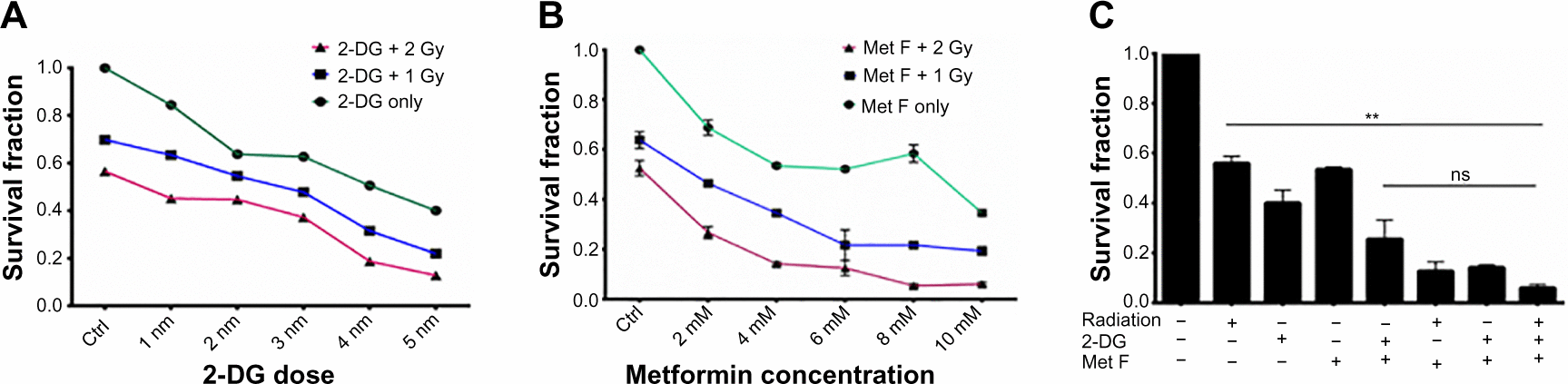 Figure S2 Effect of 2-DG, metformin, and their combination with Cobalt60 radiation on MDA MB 231 cells.