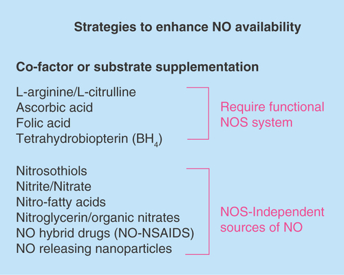 Figure 1.  Viable strategies to enhance nitric oxide production/availability.NO: Nitric oxide; NOS: Nitric oxide synthase.