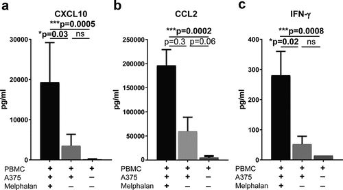 Figure 5. Melphalan-exposed melanoma cells induce expression of CXCL10, CCL2 and IFN-γ in PBMCs during co-culture