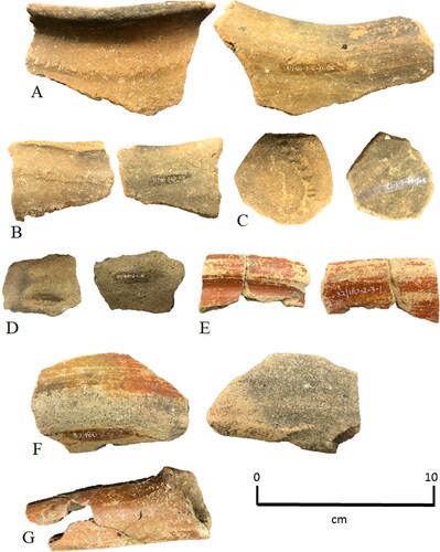 Figure 2. Middle and Late Preclassic Pottery from Ich’ak’tun. (A–D) Jocote Orange Brown, catalog # 32/180-1-6/1-126, -125, -1/1-17, -1/1-16; (E,G) Sierra Red, catalog # 32/180-2-3/1-1, -4/1-107; (F) Society Hall, 32/180-2-3/1-2. Photos by Heather McKillop.