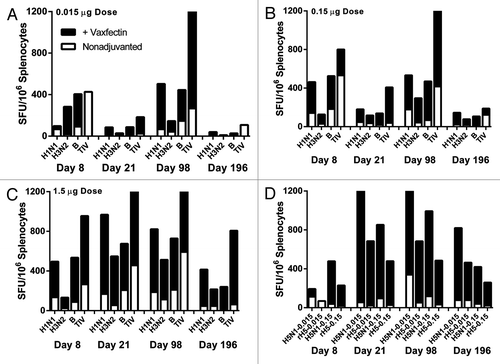 Figure 4. Frequency of vaccine-specific IFN-γ-producing T cells. BALB/c mice received two injections at a 3 week interval of the indicated TIV doses with (solid black bars) or without (open bars) Vaxfectin® and an ex vivo IFN-γ ELISPOT assay was used to measure the number of spot forming units (SFU) of IFN-γ T cells per 106 splenocytes harvested at 8, 28, 98, and 196 d after first injection. The TIV doses included 0.015 μg (A), 0.15 μg (B), and 1.5 μg (C) per each HA or the former two for the H5N1 vaccine (D). The rare instances of open bars only (e.g., upper left panel, Day 8 TIV and Day 196 TIV) indicate the adjuvanted response did not exceed the nonadjuvanted response. The sources of antigen for recalling H5-specific responses included H5N1 and recombinant H5 HA (“rH5”). Due to the large number of treatment groups tested, each bar represents the pooled splenocytes of each group; therefore no statistical analyses were possible. The TIV data were derived from two separate studies (0.015 μg and 0.15 μg doses in one study and 1.5 μg dose in a second study).