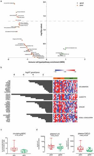 Figure 4. Immune and inflammation pathways are enriched in peripheral immune cells of poor prognosis patients. (a) Plot showing the enrichment of immune cell types and immune signaling pathways in good prognosis patients (green, n = 16) and poor prognosis patients (orange, n = 14) calculated based on Normalized enrichment score (NES) from the GSEA and the – log10(p-value) for each of the families tested. (b) Heatmap showing the Z score of immune candidates differentially expressed (FDR≤0.1) between good prognosis (green bar) and poor prognosis (orange bar) patients, grouped by immune gene families. The waterfall graph shows the log2 fold change in expression between good prognosis and poor prognosis patients for each gene. (c) Percentage of MDSCs in PBMCs of patients with poor (mOS < 21 months) and good (mOS ≥ 21 months) prognosis. Data are expressed as %lin-HLA-DR-CD33+ CD11b+CD14+ cells and depicted as box (25th to 75th percentiles) and whisker (10th to 90th percentiles) with the middle line representing the median. Numbers of glioma samples (n), as well as Mann-Whitney test-derived p value are indicated in the graph. (d) Quantitative analysis of plasmatic IL-6 and CXCL3 in patients with poor (mOS < 24 months) and good (mOS ≥ 24 months) prognosis. Data are expressed as pg per g of total plasmatic proteins and depicted as box (25th to 75th percentiles) and whisker (10th to 90th percentiles) with the middle line representing the median. Numbers of glioma samples (n), as well as Mann-Whitney test-derived p values are indicated in the graph.