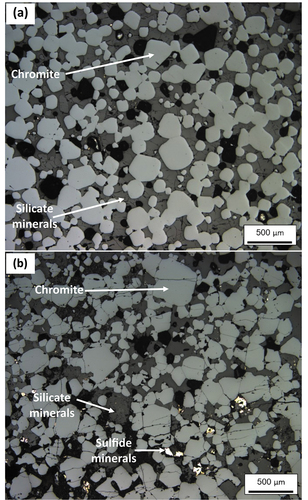 Figure 4. Reflected light photomicrographs (reflected light) of representative chromitite samples from the massive section of the UG-2E and the UG-2 reference suite (modified after Langa et al. Citation2021a). (a) Example of the massive UG-2 reference chromitite, in which chromite grains are mostly subhedral (light grey), and range in size from 0.01 to 0.25 mm. Chromite grains occupy approximately 64% of the section, interstitial silicate minerals 36% (dark grey matrix minerals), and tiny speckles of sulphide (bright anhedral minerals in matrix) only ~ 0.5%. (b) Massive portion of UG-2E chromitite in thin section showing clustering of euhedral to subhedral chromite grains, ranging in size from 0.04 to 0.7 mm wide. Chromite (light grey areas) occupies approximately 60% of the section, whereas silicate minerals occupy approximately 39% of the section and sulphides occupy ~ 1% of the section. Black areas are mostly holes outlining chromite gains plucked out during polishing (accounted for as part of the chromite mode).