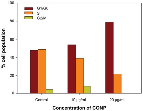 Figure 7 Cell cycle progression assay of HeLa cells treated with different concentrations of CONPs for 48 hours.Notes: Proliferation of HeLa cells was strongly suppressed by CONPs in a dose-dependent manner. Cells were arrested in the G1/G0 phase after 48 hours of treatment and were less able to proliferate.Abbreviation: CONPs, cuprous oxide nanoparticles.