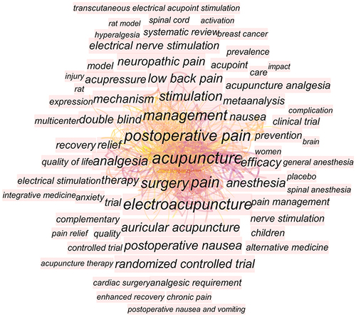 Figure 8 Co-occurrence map of keywords on acupuncture therapy for postoperative pain.