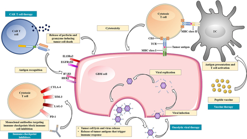Figure 1. Overview of the current immunotherapeutic modalities for the treatment of glioblastoma.