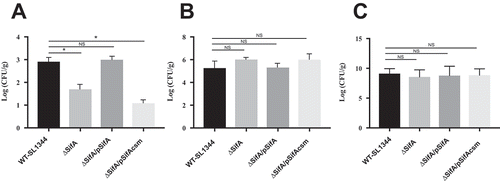 Figure 4. Caspase-3 cleavage of SifA is necessary for dissemination. (a) Mice were infected by oral gavage and livers were harvested 48 hrs. post-infection. Bacterial burdens were determined by homogenizing the livers and serial dilution plating. ∆SifA and ∆SifA/pSifAcsm exhibit over 1 log decrease in bacterial burden in the liver. This decrease is restored upon complementation with pSifA. Results are averages of 6 mice per group ± SD. B.) Mice were infected by oral gavage and proximal colon samples were taken 48 hr post-infection. Bacterial burdens were determined similarly to (a). Results are averages of 6 mice per group +/- SD. ∆SifA, ∆SifA/pSifA, and ∆SifA/pSifAcsm do not exhibit any significant defects in colonization of the proximal colon in comparison to WT-SL1344. C.) Mice were infected via the tail vein, and livers were harvested 24 hr post-infection. Bacterial burden was determined similar to (a). In comparison to WT-SL1344, ∆SifA, ∆SifA/pSifA, and ∆SifA/pSifAcsm all show similar levels of bacteria in the liver. P Values (statistics calculated using unpaired Student’s t test): NS, not significant; *P < 0.05. Data shown are representative of at least three independent experiments.