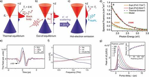 Figure 3. (a-c) Schematic illustration of the HotPL emission mechanism in n-doped SLG from Ref. [Citation102]. Dirac cones populated by e (red)-hole (h,blue) with thermal distribution at T0 at the equilibrium (a); out-of-equilibrium charge distributions formed within 20 fs after ultrafast laser excitation (b), thermalized e-h distributions at >T0 with two different chemical potentials formed on a time scale comparable with the pump pulse duration leading to radiative electron-hole recombination, i.e. HotPL, restoring the initial equilibrium h density (c). (d) HotPL spectrum at different Te from Ref. [[Citation103]].(e-f) Photoinduced change in the THz transmission through graphene (e) and inferred change in the graphene conductivity (f) from Ref.[Citation106] [].(g) Temporal evolution of the change in the maxima of the transmitted THz waveforms normalized by the THz probe for different pump fluences [Citation106]. The inset shows the decay times extracted by fitting the dynamics with single exponential function. Panels e-g are reprinted with permission from Ref.[Citation106]. Copyright {2022} American Chemical Society.