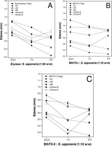Figure 2.  Inhibition of the edema-inducing activity of crude snake venom (A) and isolated toxins (B and C) after incubation for 30 min at 37°C with extracts (B and C) or fractions of S. saponaria (A1, A2, B2) at ratios of 1:50 and 1:10 (w/w) to venom and toxins, respectively. Each denoted value represents the mean ± S.D. (n = 6).