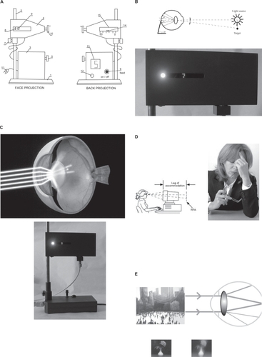 Figure 2 A Halometer DG (face and rear) projection 1, device base; 2, support bar; 3, feed source; 4, block unit for glare testing as seen by subject; 5, rheostat to regulate source brightness; 6, button to turn on/off the voltage feed; 7, clamp; 8, glare source window; 9, moveable optotypes (target); 10, mechanical mechanism for moving the optotypes to/from the glare source; 11, voltage feed plug; 12, a button for choosing among different optotypes, operator side; 13, electronic display of shifted optotype position, operator side; 14, metric scale of optotype distance from glare source, operator side; 15, metric distance scale of the optotype distance from glare source, operator side. B. Principle of the disability glare test, based on the measurement of the glare radius (r, mm) a new metric for glare sensitivity. I0 = Indicatrix of light scatter; ϕ = angle. The technique utilizes a self-illuminating red or green optotype target and tangential 2 mm ‘point light source’ seen from a distance of 30 cm. The patient’s task is to move the optotype closer to the glare source until it disappears due to the veiling glare from the glare source. A halometer score is determined as follows. The illuminous (in red or green) target is approached from the source so that the patient becomes unable to distinguish the target from the source and then, the target is slowly taken away until the exact moment when the patient distinguishes the target; at this time, the incident light angle ϕ between the source and the target is measured. The target is always fixated with the foveal vision. The target and the ‘point light source’ are viewed in the same vertical plane, tangential to the plane of emitted light. In this case, to measure the angle ϕ of the incident light between the source and the target, it is necessary only to measure its projection on this vertical plane, which means to measure the distance between the source and the target. The measured glare radius is defined as a target image projection for the vector of light scatter (indicator of light scatter I = I0cos 2 ϕ) when the glare source is activated and the patient is asked to recognize the target during illumination of the eye with a glare source. C. Photograph of working prototype of the Halometer DG tester. Halometer DG instrument can provide the valuable data on the intraocular light scatter in cataracts. The instrument can be used in the pre-testing examination room of optometrist and ophthalmologists offices, at Department of Motor Vehicle licensure facilities or incorporated within automobiles, for self testing. D. Vision problems during computer use. The eyes find it difficult to focus on the pixel characters. They can focus on the plane of the computer screen, but cannot sustain that focus. The eyes focus on the screen and relax to a point behind the screen, which is called the resting point of accommodation (RPA) or dark focus. The RPA is different for every individual, but for almost everyone, it is further away than the working distance to the computer. The working distance is the distance from the computer user’s eyes to the front of the screen. Therefore the eyes are constantly relaxing to the RPA, and then straining to refocus on the screen. This constant flexing of the focusing (ciliary body) muscles is what creates fatigue, and generates burning and tired eyes. In clinical studies, it has been found that there is a significant difference in the glasses prescription required for focusing on a standard printed near card (called a Snellen card) and focusing on the image of a typical computer screen, both at a viewing distance of 20 inches. Many patients needed a different correction in each eye. E. As light passes through the cataractous lens, it is diffused or scattered. The result is blurred or defocused vision.