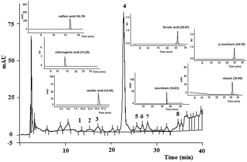 Figure 1. Peak 1: 13.30 min retention time matches the chlorogenic acid standard, peak 2: 15.05 min retention time matches the vanillic acid standard, peak 3: 17.10 min retention time matches the caffeic acid standard, peak 4: 22.08 min retention time was identified as vicenin-2, peak 5: 25.29 min retention time matches the p-coumaric acid 2 standard, peak 6: 25.62 min retention time matches the ferulic acid standard, peak 7: 28.99 min retention time matches the vitexin standard and peak 8: 34.56 min retention time matches the isovitexin standard. The chromatograms of standard compounds are also shown in the figure.