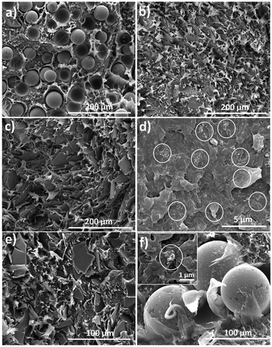 Figure 1 SEM pictures of: a HDPE/12.4 vol.% AgSM, b HDPE/17 vol.% AgFS, c HDPE/23.5 vol.% AgFL, d HDPE/1.4 vol.% MWNTs, e HDPE/8 vol.% AgFL + 2.3 vol.% AgFS, f HDPE/8.4 vol.% AgSM + 0.4 vol.% MWNTs, with the insert showing a higher magnification of CNTs rich area