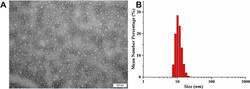 Figure 1 (A) Transmission electron microphotograph of E-SLNs. Bar = 100 nm. (B) Particle size distribution of E-SLNs.