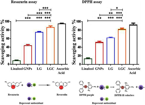 Figure 3 Antioxidant activity of the synthesised compounds. Upper lane represented the antioxidant percentage and Lower lane represented the principle of each assay. The results are represented as the mean ± SD. Asterisks indicate statically different, *p≤0.05, **p≤0.01, ***p≤0.001.