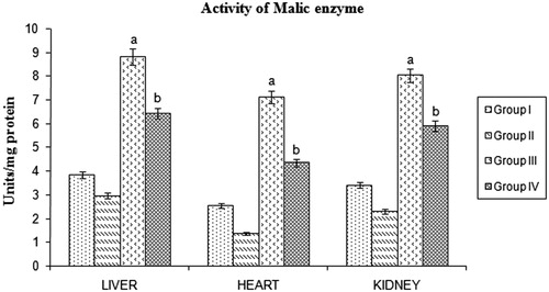 Figure 4. Effect of Butea monosperma bark on malic enzyme in normal and diabetic rats. The data are expressed as mean ±SD. ap < 0.05 compared to the normal control group; bp < 0.05 compared to the diabetic control group.