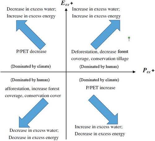 Figure 4. A conceptual model of eco-hydrological shifts in response to climate variability and land-use change (Tomer and Schilling Citation2009). Pex: unused water; Eex: excess energy; PET: potential evapotranspiration.
