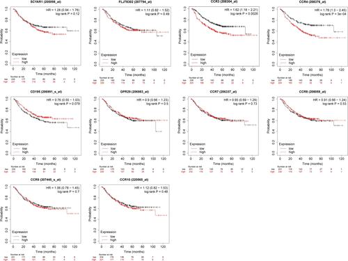 Figure 6 First-progression survival curves for the expression of CC chemokine receptors in LUAD patients (Kaplan–Meier Plotter).