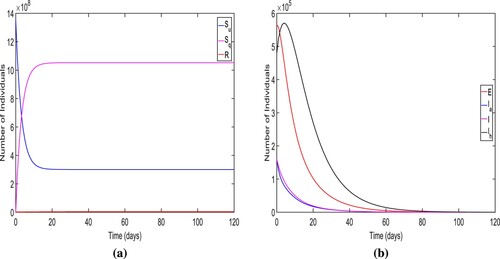 Figure 4. The long-term dynamics of the model system (Equation1(1) dSudt=Λ−λSu−dSu−qSu+ζSq,dSqdt=qSu+(1−p)λSu−(ϵqλ+ζ+d)Sq,dEdt=pλSu+ϵqλSq−(α+d)E,dIadt=p1αE−(δ1+ϕ1+γ1+d)Ia,dIdt=p2αE−(δ2+ϕ2+γ2+d)I,dIhdt=(1−p1−p2)αE+ϕ1Ia+ϕ2I−(δ3+γ3+d)Ih,dRdt=γ1Ia+γ2I+γ3Ih−dR,(1) ) when R0=0.4951<1. The figure ensure the local stability of the disease free equilibrium.