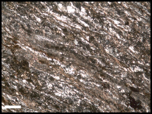 Figure 15. Photomicrograph of schist clast (OP073) with foliated quartz, biotite, clays. In cross-polarised light, scale bar is 200 μm.