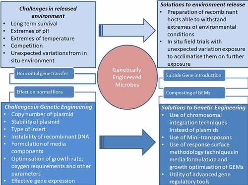 Figure 1. Challenges and possible solutions in bioengineering of microbes to remediate pollutants