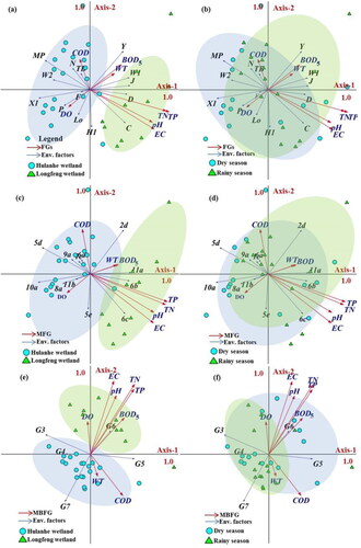 Figure 4. First and second axes of the RDA based on the abundance of the functional groups (FGs) (a and b), Morpho-functional groups (MFGs) (c and d) and Morphology-based functional groups (MBFGs) (e and f) on the Longfeng wetland and Hulanhe wetland.