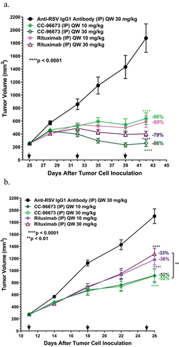 Figure 5. CC-96673 has antitumor activity in lymphoma xenograft models. (a) Tumor volume growth curves of WSU-DLCL2 or (b) Raji xenografts in female NOD-SCID mice treated with CC-96673, rituximab or the non-targeting anti-RSV IgG1. Mice were inoculated with 5 × 106 WSU-DLCL2 or 2 × 106 Raji tumor cells into the right flank and randomized into treatment groups (n = 9/group) at the time of treatment initiation. Test article treatment started on Day 25 or Day 11 when tumors were approximately 200 mm3. Tumor inhibition was calculated as the percentage difference in average tumor volume between CC-96673 and rituximab treated mice and anti-RSV IgG1 treated control mice on Day 42 (WSU-DLCL2) or Day 26 (Raji) and is shown to the right of the dose response curve for each treatment dose. Statistical analysis was performed using a two-way ANOVA with Bonferroni’s multiple comparisons test with all the study groups, and the data shown are in comparison with the anti-RSV IgG1 control group. Values represent the mean ± SEM. Dosing days are indicated with arrows.