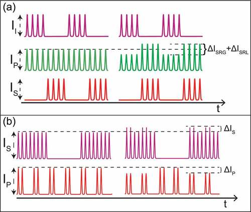 Figure 9. Comparison between the SRGOLD [Citation86,Citation87] and SRGAL [Citation88,Citation89] modulation schemes. (a) In the SRGOLD scheme, the idler (i) and signal (s) beams are intensity-modulated at the same frequency but 180°-shifted phase, and the probe (p) beam experiences an intensity modulation with amplitude . (b) In the SRGAL scheme, the pump (P) and Stokes (S) beams are intensity-modulated at two different frequencies, and SRL and SRG signals can be retrieved separately and simultaneously.