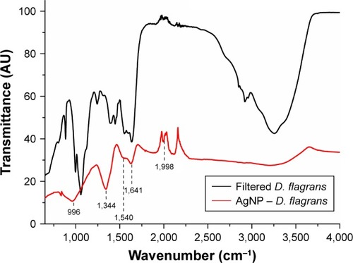 Figure 3 FTIR spectrum of the free extract of cells of the fungus Duddingtonia flagrans (black) and of the AgNP (D. flagrans) (red).Abbreviations: AgNPs, silver nanoparticles; FTIR, Fourier-transform infrared.