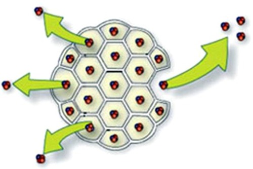 Figure 1 Cartoon depiction of DepoFoam surrounding bupivacaine.Citation6