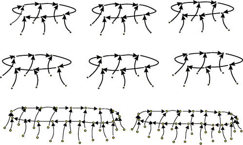 Fig. 3 JF19 swarm.