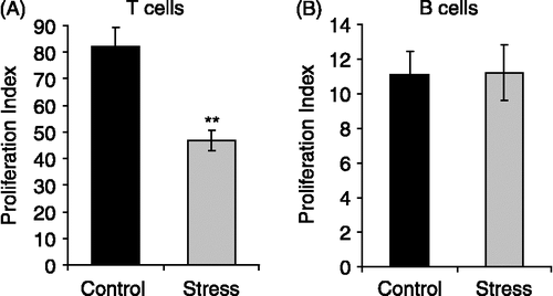 Figure 1 Effects of chronic stress on lymphoproliferative response to selective T- and B- mitogens. Cells from lymph nodes and spleens of stressed mice and untreated controls were stimulated with Con A and LPS respectively, labeled with [3H]thymidine for 72 h and harvested. Representative results from three independent experiments are shown. Values are expressed as group means ± SEM. of the stimulated/basal ratio (proliferation index). Statistical significance was determined using unpaired t-test (n = 6 mice per group, **p < 0.01).