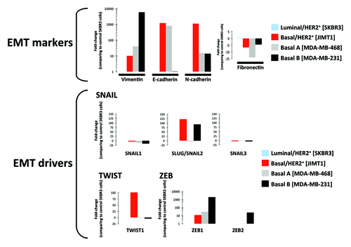 Figure 2. Relative enrichment of EMT features in trastuzumab-resistant basal/HER2+ JIMT1 breast cancer cells. Figure shows the relative expression of EMT-associated genes in basal/HER2+ JIMT1, basal A MDA-MB-468 and basal B MDA-MB-231 breast cancer cell vs. luminal/HER2+ SKBR3 breast cancer cells using the human epithelial-to-mesenchymal (EMT) RT2 Profiler PCR Array (PAHS-090, 96-well format) as per the manufacturer’s instructions (SABiosciences).