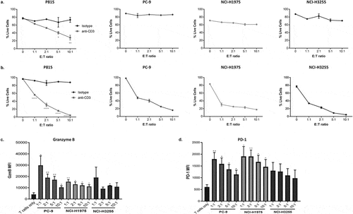 Figure 3. Co-culture of CD8+ T cells with tumor cells expressing anti-CD3 results in target cell T cell-mediated cytotoxicity.