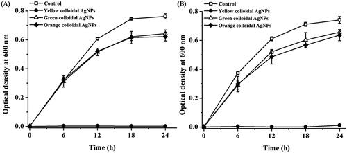 Figure 7. Growth curves of Escherichia coli (A) and Staphylococcus aureus (B) in response to yellow, green and orange colloidal AgNPs at 20 µg/ml in a time course of 24 h. The data represented as means ± SD from five repetitive samples.