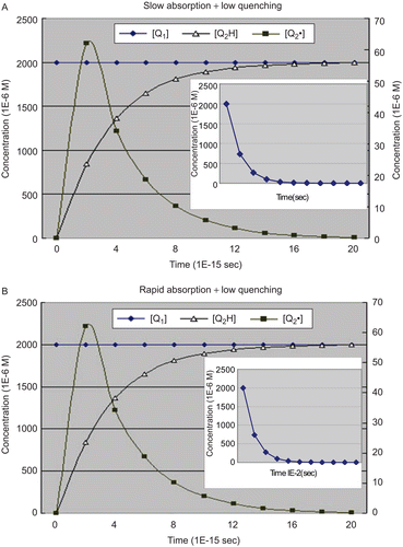 Figure 2.  Simulated behaviors of different antioxidant settings. (A) Category 1: The low quencher α-tocopherol with slow absorption. [Q2•] is shown with the second Y-axis and [Q1] is simultaneously shown in the insert with the abscissa from 0 to 20 sec. (B) Category 1: The low quencher α-tocopherol with rapid absorption. [Q2•] is shown with the second Y-axis and [Q1] is simultaneously shown in the insert with the abscissa from 0 to 20 x 10−2 sec. (C) Category 2: The moderate quencher mannitol with slow absorption. [Q2•] is shown with the second Y-axis and [Q1] is simultaneously shown in the insert with the abscissa from 0 to 20 x 10−1 sec. (D) Category 2: The moderate quencher mannitol with rapid absorption. [Q2•] is shown with the second Y-axis and [Q1] is simultaneously shown in the insert with the abscissa from 0 to 20 x 10−4 sec. (E) Category 3: The high quencher lycopene with slow absorption. [Q2•] is shown with the second Y-axis and [Q1] is simultaneously shown in the insert with the abscissa from 0 to 200 sec. (F) Category 3: The high quencher lycopene with rapid absorption. [Q2•] is shown with the second Y-axis and [Q1] is simultaneously shown in the insert with the abscissa from 0 to 10 sec.