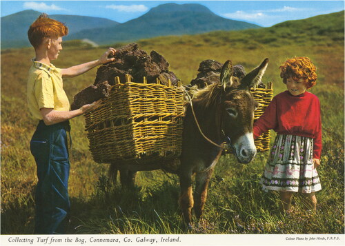 Figure 4. Collecting Turf from the Bog, Connemara, Co. Galway, John Hinde, date unknown, The John Hinde Archive/Mary Evans Picture Library.