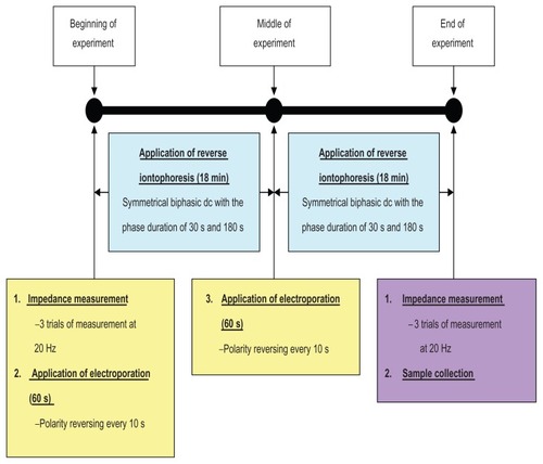 Figure 2 Experimental protocol showing the time sequence for skin impedance measurements, application of electroporation and reverse iontophoresis, and sample collection.Note: Each in vitro extraction experiment took 38 minutes.Abbreviations: min, minutes; s, seconds.