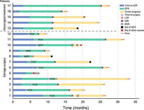 Figure 2 Swimmer’s plot of the clinical course and current status of 17 progressing patients.