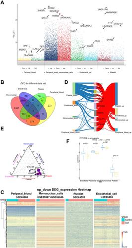 Figure 2 The contribution of CDEGs to 3 types of intravascular cells and peripheral blood. (A) A Manhattan plot of associations between AMI and control. The top three genes with the highest or lowest significance were highlighted. (B) Venn to identify 11 common differentially expressed genes. (C) The expression of common genes in different datasets. (D) The contribution of 11 CDEGs to peripheral blood and 3 types intravascular cells. (E) Contribution weight of 11 CDEGS in 3 types of intravascular cells. The coordinates of a point represent its contribution. The closer it is to an angle of a triangle, the more contributions it has made to this type. The size of a point represents the contribution of CDEGs to in AMI. (F) Expression of PPP1R3 in 3 types of intravascular cells and peripheral blood. It showed that expression of PPP1R3B is increased in AMI samples compared with control samples.