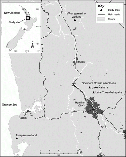 Figure 1  Map of the study area in the Waikato, North Island, New Zealand, showing the locations of the three wetlands (Whangamarino, Toreparu and two Horsham Downs peat lakes—Lake Kaituna and Lake Tunawhakapeka) in which beetle communities were sampled using Malaise traps.