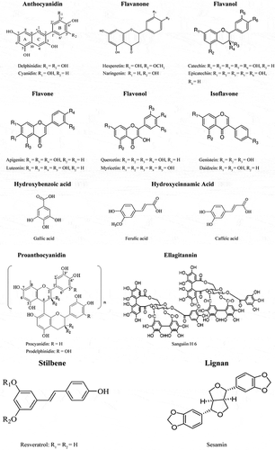 Figure 2. Structures of polyphenol compounds. Source: Dai and Mumper.[Citation61]