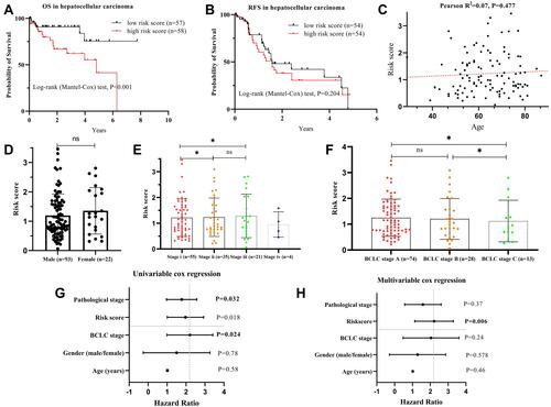 Figure 4 Validation regression model by using TCGA data. (A) Kaplan–Meier curves of overall survival between patients with high or low risk scores. (B) Kaplan–Meier curves of recurrence free survival between patients with high or low predicted risk scores. (C) Pearson correlation coefficient analysis of age and risk score. (D) Comparison of risk scores between male and female patients. (E) Comparison of risk score among different pathological stages. (F) Comparison of risk scores based on the Barcelona Clinic Liver Cancer stage. (G) Forest map plot of the univariate Cox regression analysis (Bold p value denote statistically significant, and filled circle is the value of hazard ratio). (H) Forest map plot of the multivariate Cox regression analysis (bold p value denote statistically significant, and filled circle is the value of hazard ratio). *p<0.05.