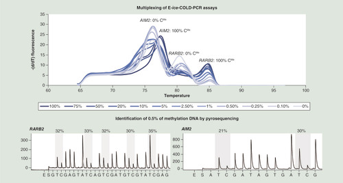 Figure 4.  Multiplexed E-ice-COLD-PCR assay for the simultaneous enrichment and analysis of methylated DNA molecules for AIM2 and RARB2.Upper panel: high-resolution melting curves of the duplex E-ice-COLD-PCR assay enriching methylation at the AIM2 and RARB2 promoters using 100, 75, 50, 20, 10, 5, 2.5, 1, 0.5, 0.25, 0.1 and 0% of methylated DNA. Lower panel: pyrograms after enrichment of a 0.5% methylated DNA standard using duplex E-ice-COLD-PCR combined with pyrosequencing assays analyzing AIM2 and RARB2.