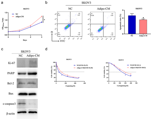 Figure 1. Adipocytes promote platinum drug resistance in OvCa cells.