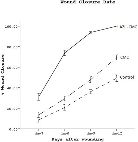 Figure 1 Wound closure rate.